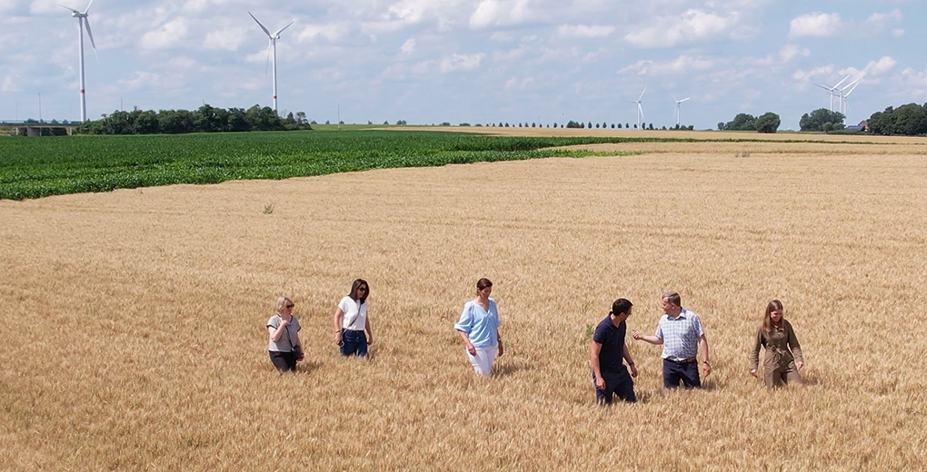 Partnership offering breads from Belgian regenerative flour