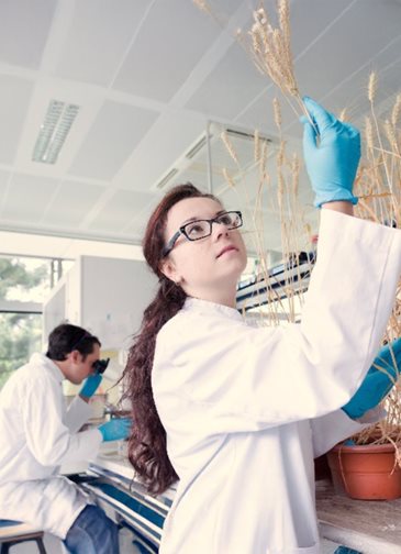 Investing in research &amp; development
